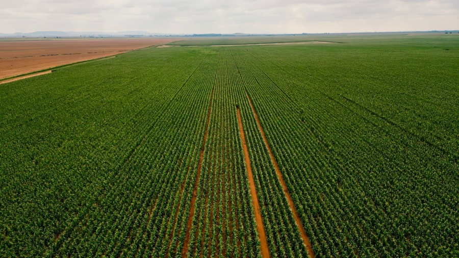 8 Bedroom Property for Sale in Bloemfontein Rural Free State